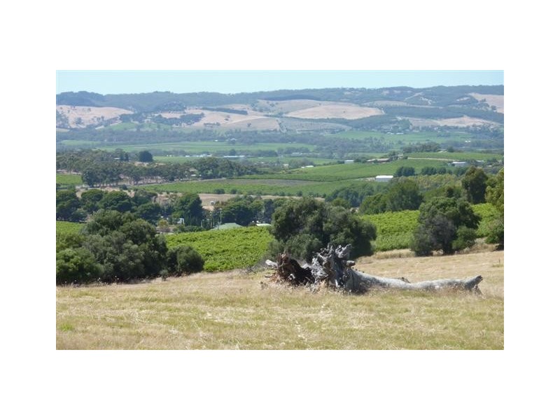 Lot 3, 212 Seaview Road, Mclaren Vale SA 5171
