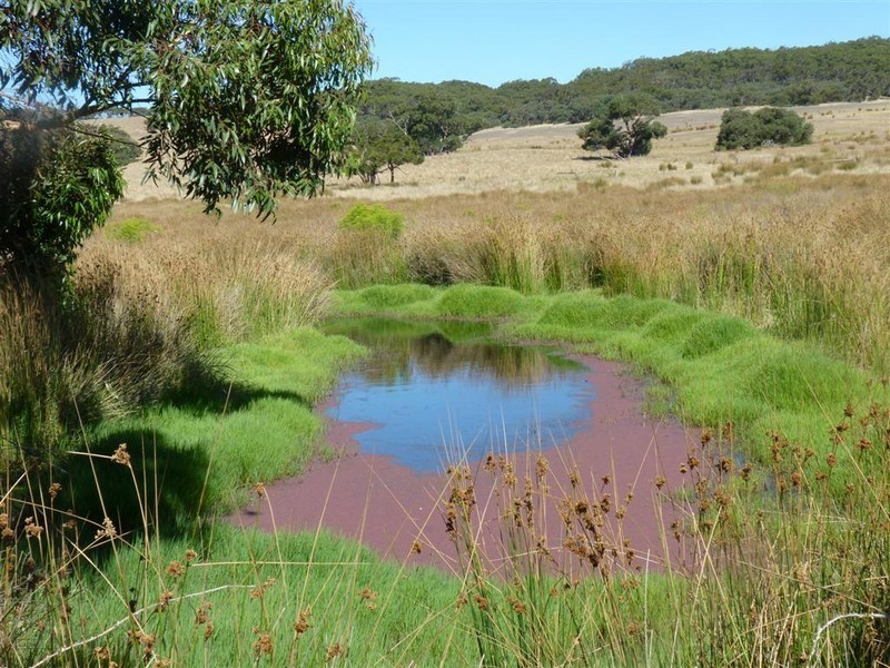Sec 971  Phillips Road, Hope Forest SA 5172