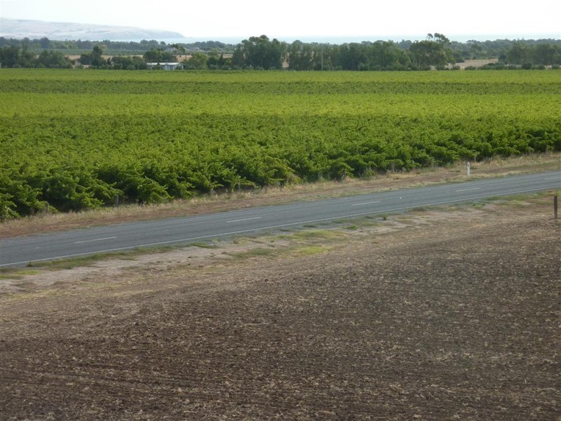 Lot 200 Hahn Road, Aldinga SA 5173