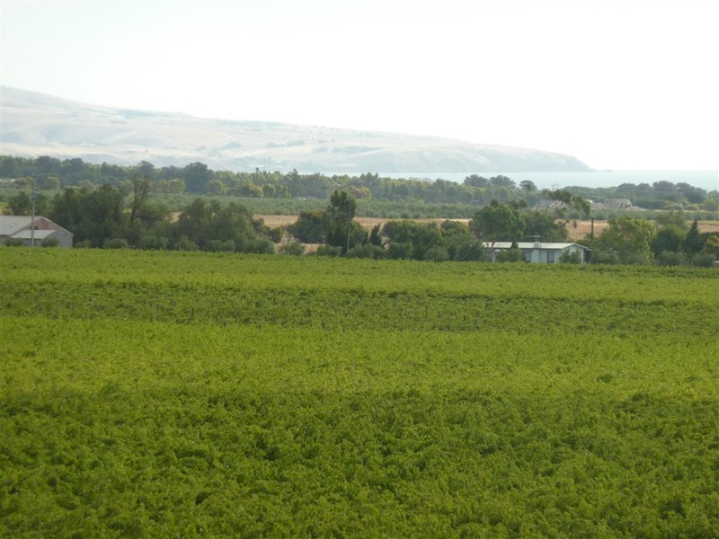 Lot 200 Hahn Road, Aldinga SA 5173