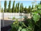 Lot 5 Ryan Road, Willunga SA 5172