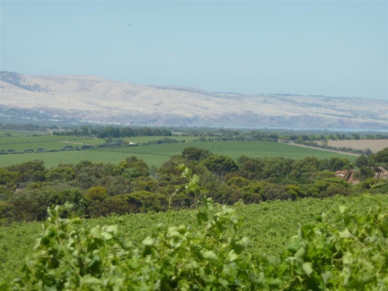 Lot 3, 212 Seaview Road, Mclaren Vale SA 5171