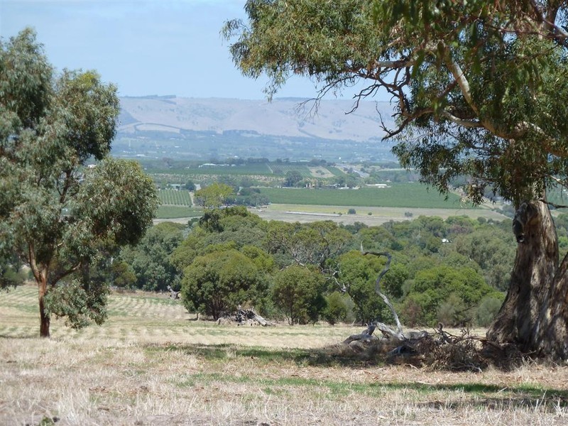 Lot 3, 212 Seaview Road, Mclaren Vale SA 5171