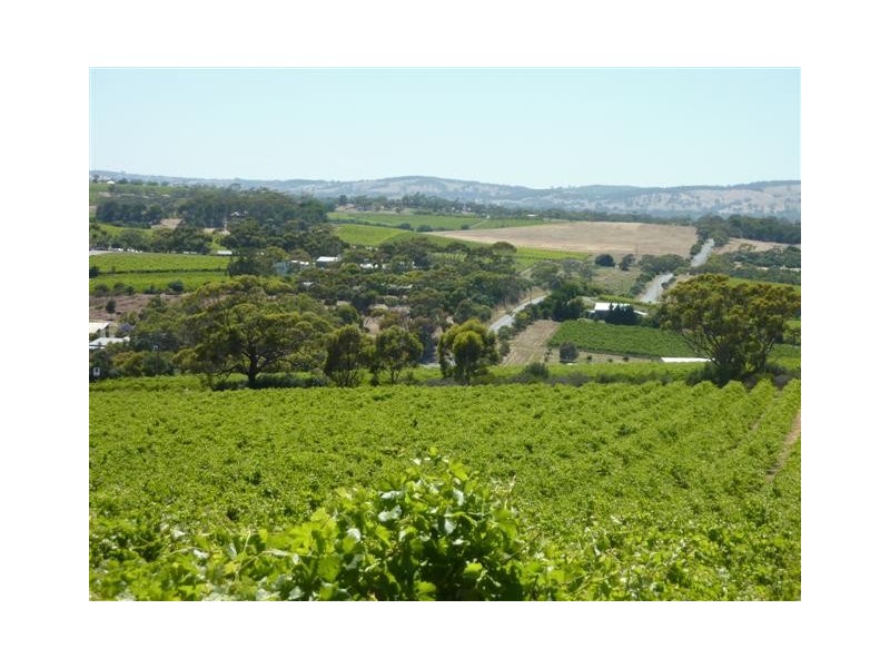 Lot 3, 212 Seaview Road, Mclaren Vale SA 5171