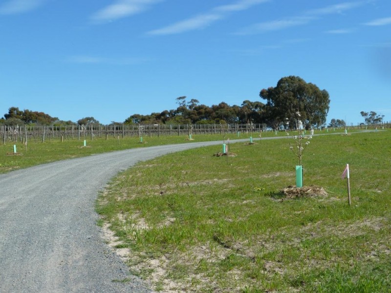 Lot 3, 212 Seaview Road, Mclaren Vale SA 5171