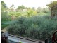 7 Clematis Walk, Aldinga SA 5173