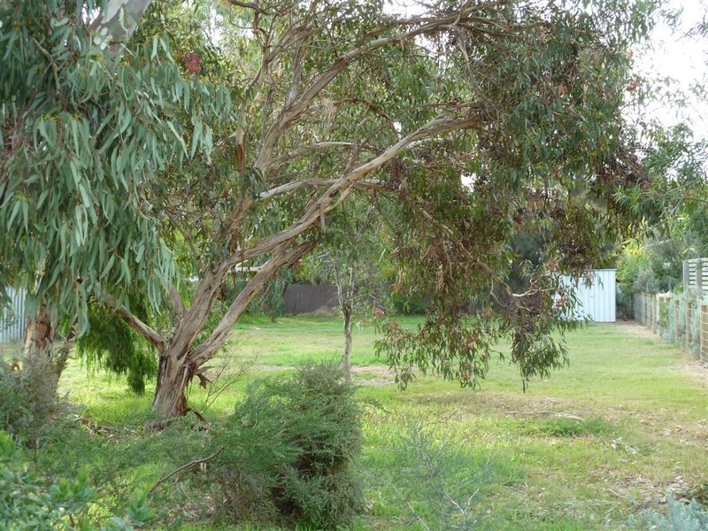 19 Boomerang Avenue, Aldinga Beach SA 5173