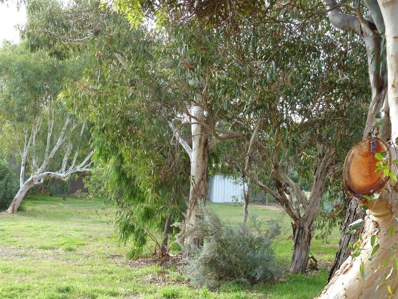 19 Boomerang Avenue, Aldinga Beach SA 5173