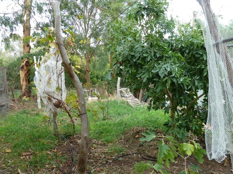 9 St Judes Street, Willunga SA 5172