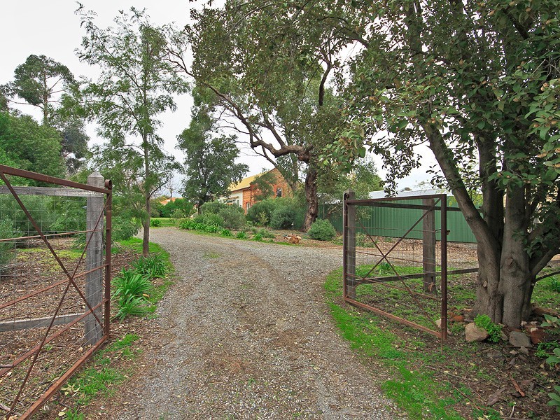 39 Tatachilla Road, Mclaren Vale SA 5171