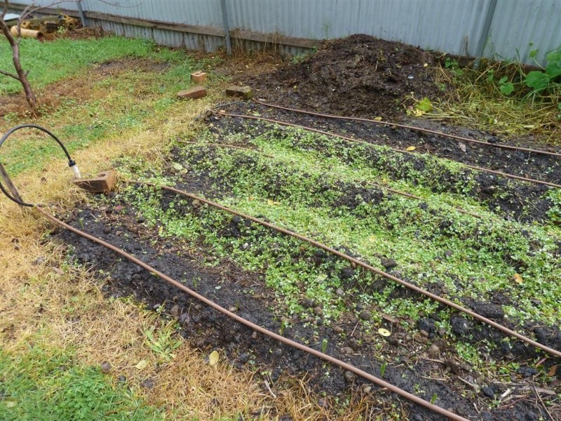 30 Methodist Street, Willunga SA 5172