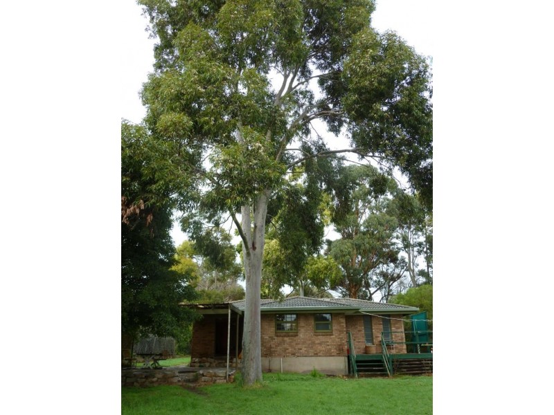 30 Methodist Street, Willunga SA 5172