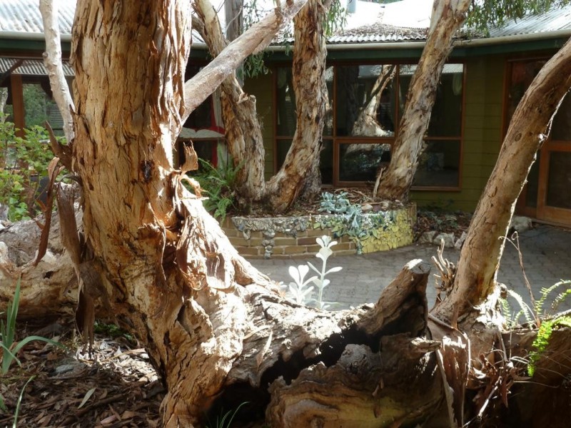 78 Dover Street, Aldinga Beach SA 5173