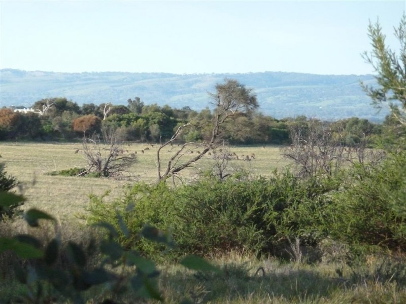 78 Dover Street, Aldinga Beach SA 5173