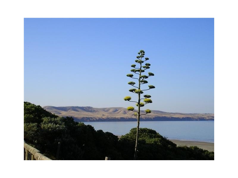 4 Ocean Street, Aldinga Beach SA 5173