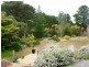 55 BELL ROAD, Blewitt Springs SA 5171