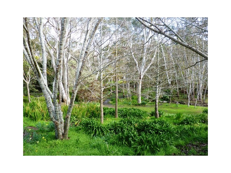 RSD 1700 BEVAN ROAD, Hope Forest SA 5172