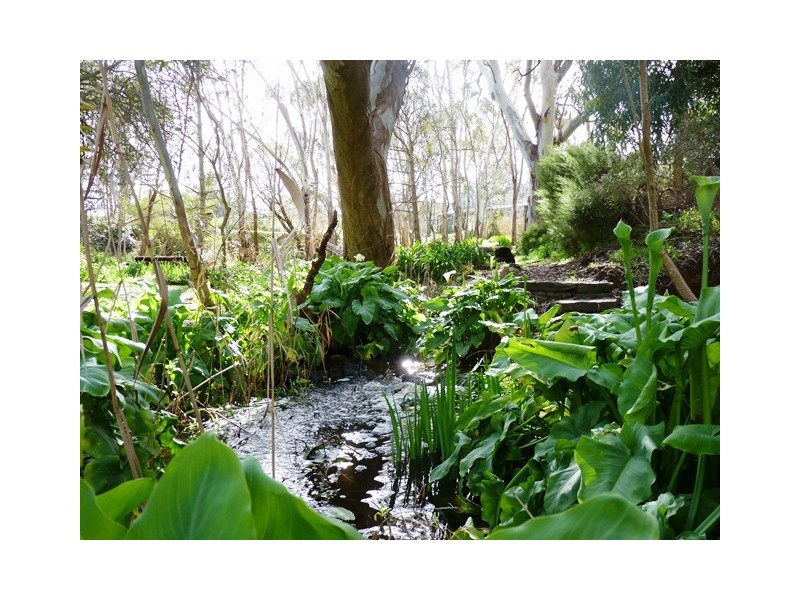 RSD 1700 BEVAN ROAD, Hope Forest SA 5172