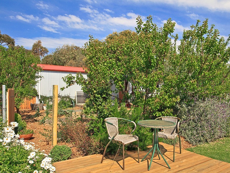 59 Wellington Avenue, Sellicks Beach SA 5174