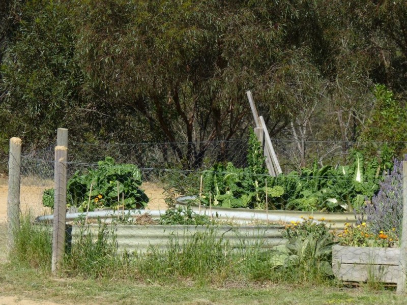 26 and 27 George Street, Ashbourne SA 5157