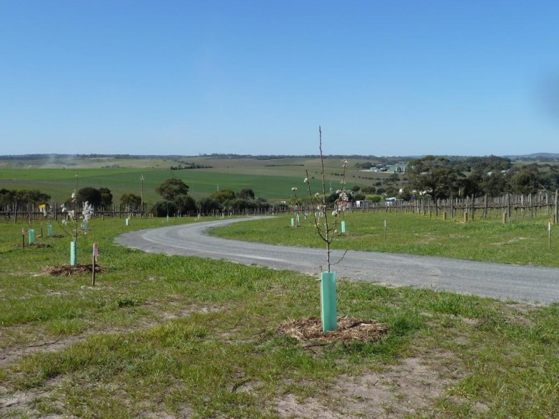 Lot 1, 212 Seaview Road, Mclaren Vale SA 5171