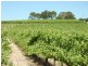 Lot 1, 212 Seaview Road, Mclaren Vale SA 5171