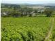 Lot 1, 212 Seaview Road, Mclaren Vale SA 5171