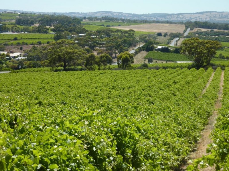 Lot 1, 212 Seaview Road, Mclaren Vale SA 5171