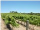 Lot 1, 212 Seaview Road, Mclaren Vale SA 5171