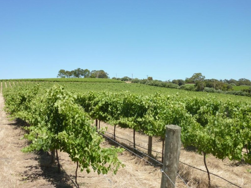Lot 1, 212 Seaview Road, Mclaren Vale SA 5171