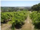 Lot 1, 212 Seaview Road, Mclaren Vale SA 5171