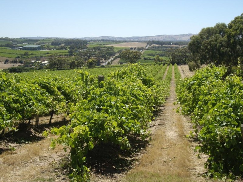 Lot 1, 212 Seaview Road, Mclaren Vale SA 5171