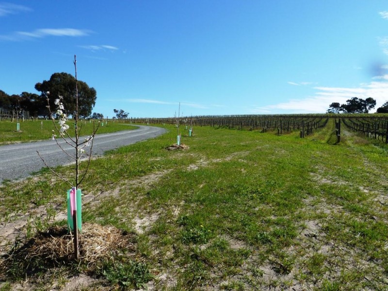 Lot 1, 212 Seaview Road, Mclaren Vale SA 5171