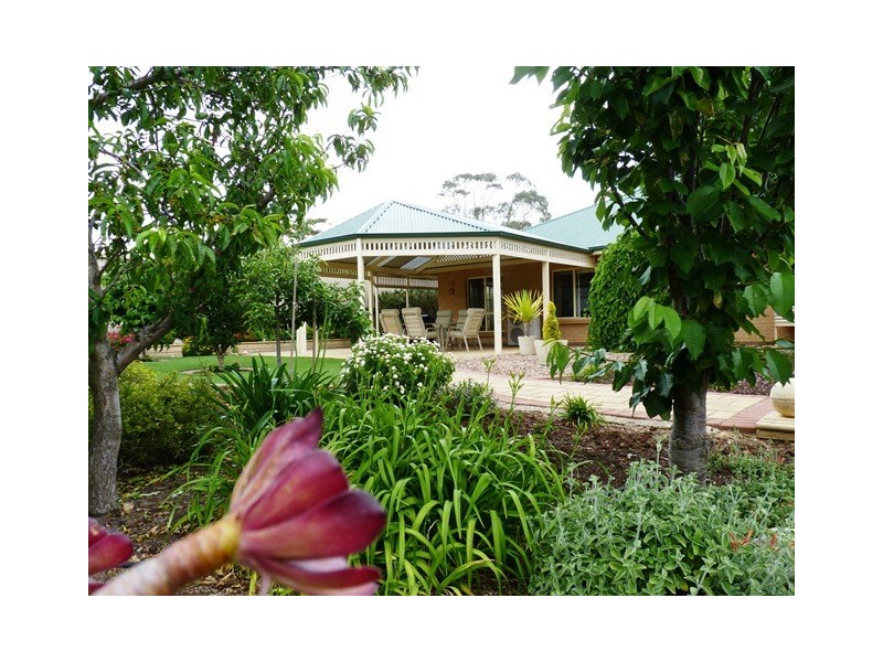 26 Grapevine Lane, Mclaren Vale SA 5171