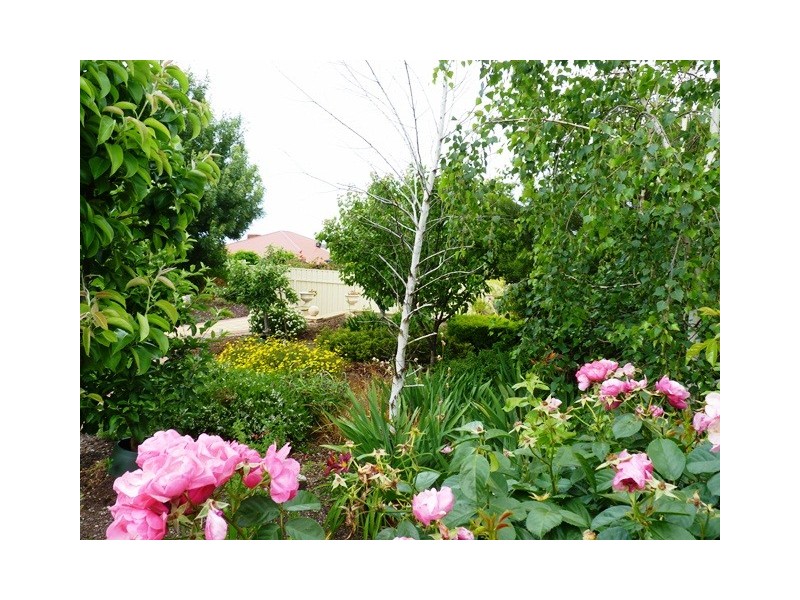 26 Grapevine Lane, Mclaren Vale SA 5171