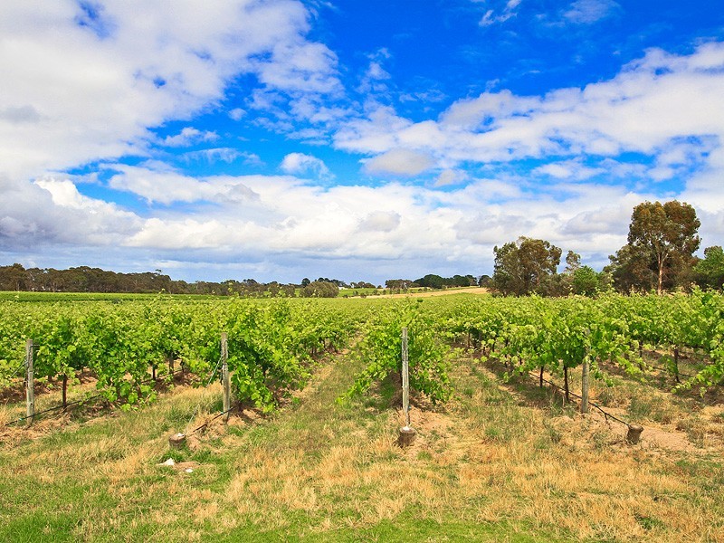 49 Oakley Road, Mclaren Flat SA 5171