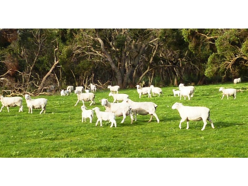 Sec 738 Pages Flat Road, Pages Flat SA 5172