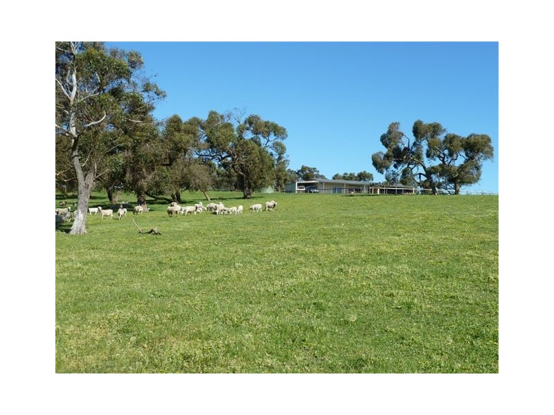 Sec 738 Pages Flat Road, Pages Flat SA 5172