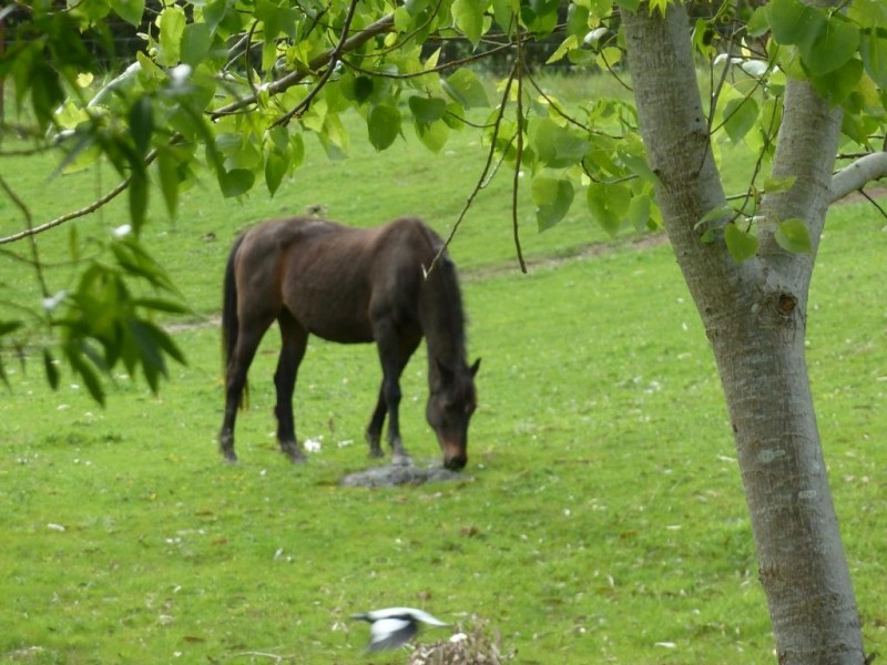 Lot 20  Pages Flat Road, Willunga SA 5172