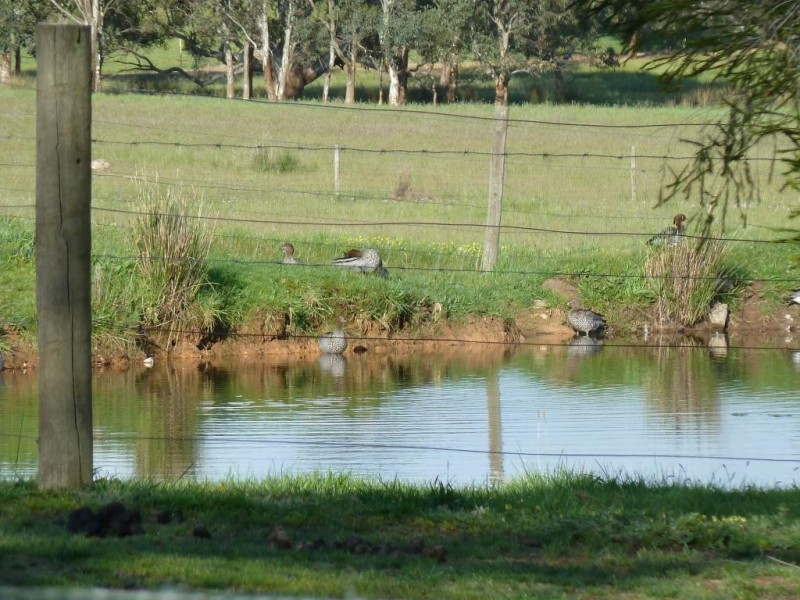 Lot 20  Pages Flat Road, Willunga SA 5172