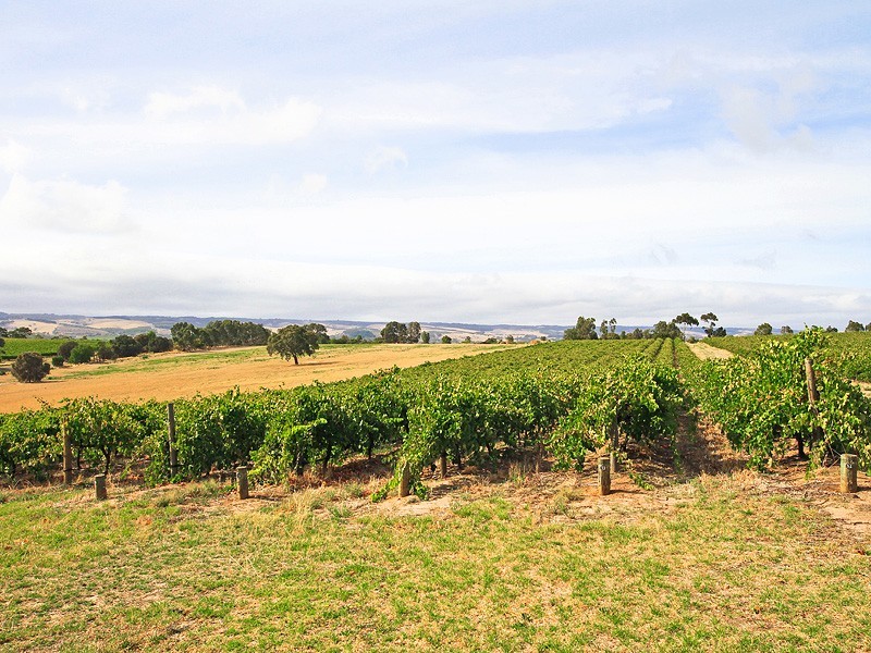 28 Wigley Drive, Mclaren Vale SA 5171