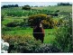 46 Branson Road (Via McLaren Vale), Tatachilla SA 5171