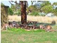 46 Branson Road (Via McLaren Vale), Tatachilla SA 5171