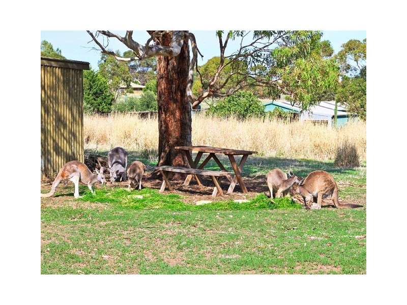 46 Branson Road (Via McLaren Vale), Tatachilla SA 5171