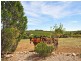 46 Branson Road (Via McLaren Vale), Tatachilla SA 5171
