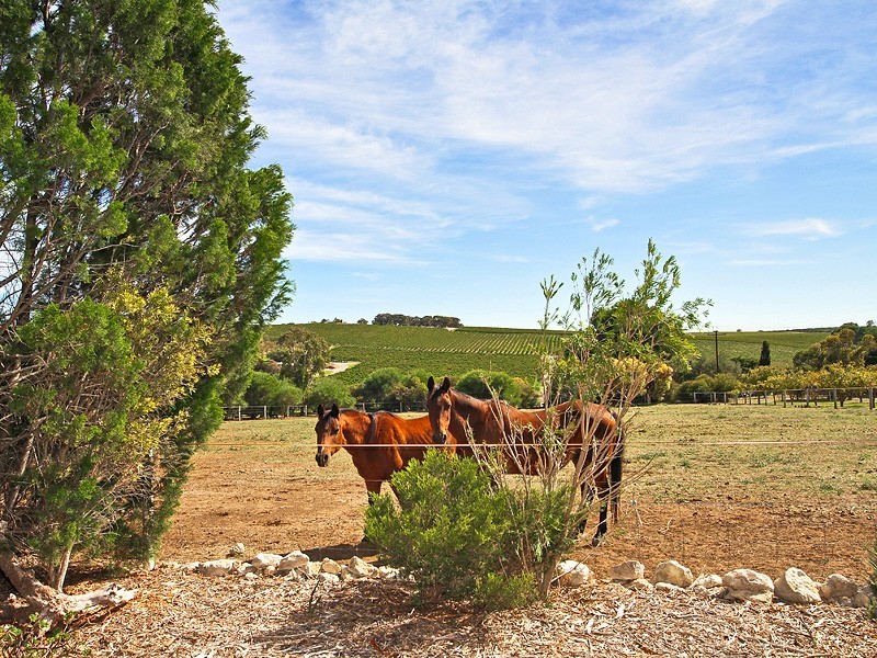 46 Branson Road (Via McLaren Vale), Tatachilla SA 5171