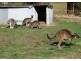46 Branson Road (Via McLaren Vale), Tatachilla SA 5171