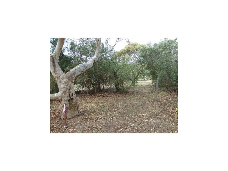 17 St Marys Street, Willunga SA 5172