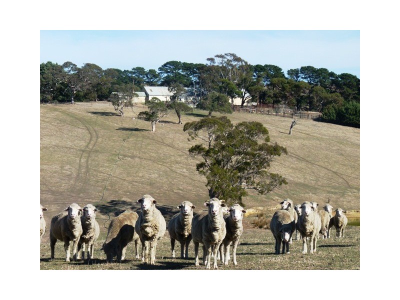 134 Old Sellicks Hill Road, Myponga SA 5202