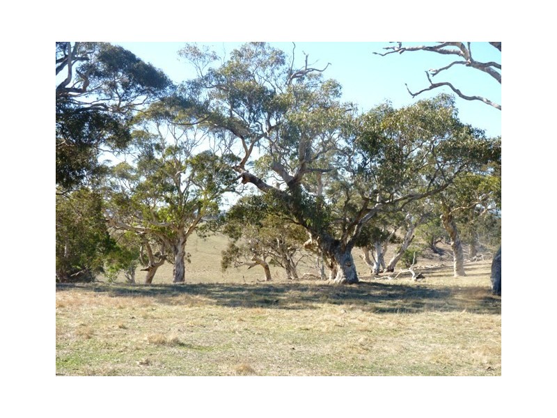 134 Old Sellicks Hill Road, Myponga SA 5202